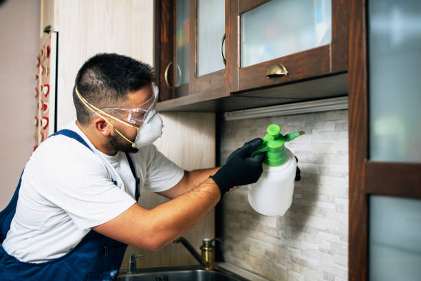 Pest Control for Restaurants in Albuquerque, NM