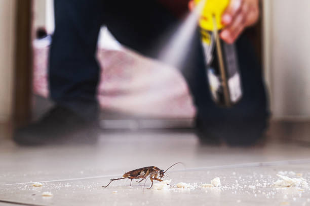 Best Pest Inspection Near Me  in Albuquerque, NM