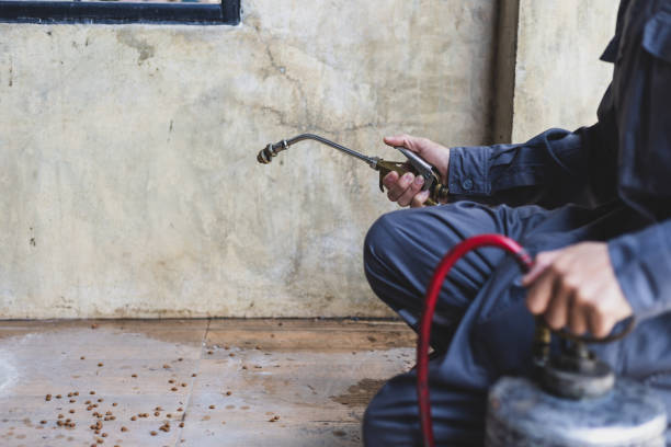 Best Exterminator Services  in Albuquerque, NM